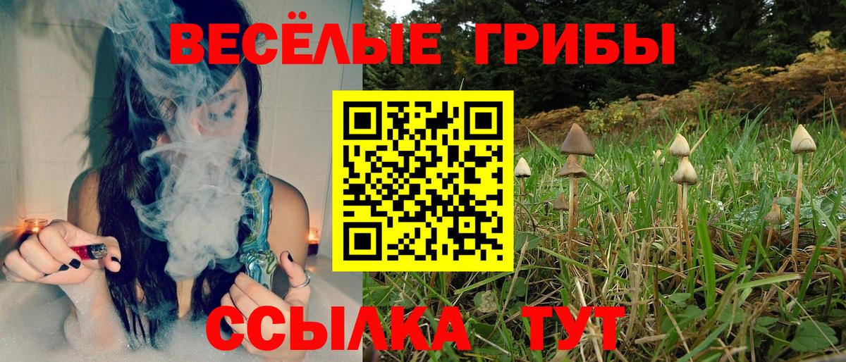 даркнет сайт  Вход с VPN  Ирбит  Галлюциногенные грибы GOLDEN TEACHER 